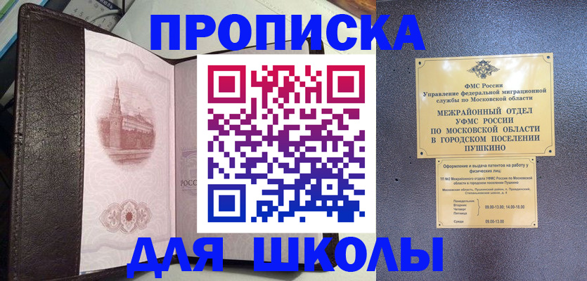 временная регистрация для школы в Домодедово